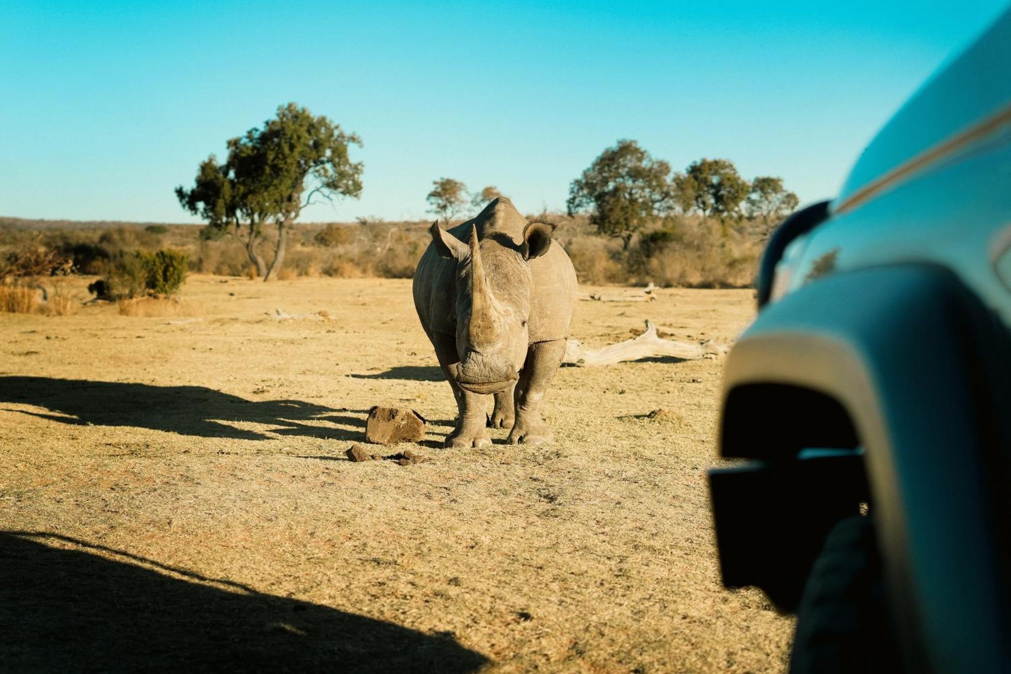 Shibula Solar Safari Big 5 Lodge Welgevonden Game Reserve Bagian luar foto